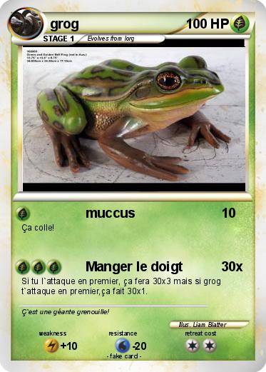Pokemon grog
