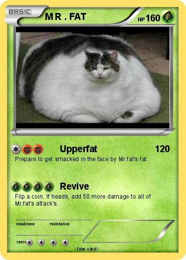 Pokemon M R . FAT
