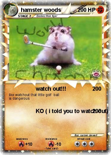 Pokemon hamster woods