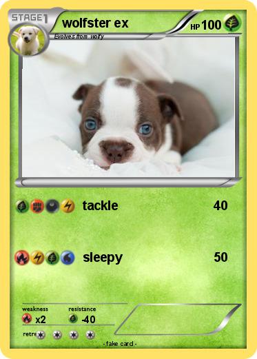 Pokemon wolfster ex