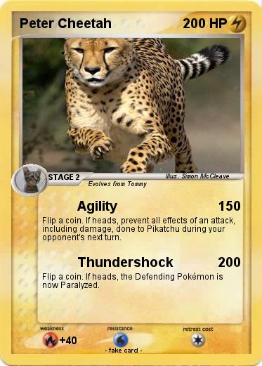 Pokemon Peter Cheetah