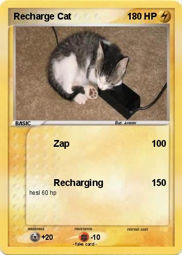 Pokemon Recharge Cat