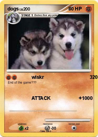 Pokemon dogs