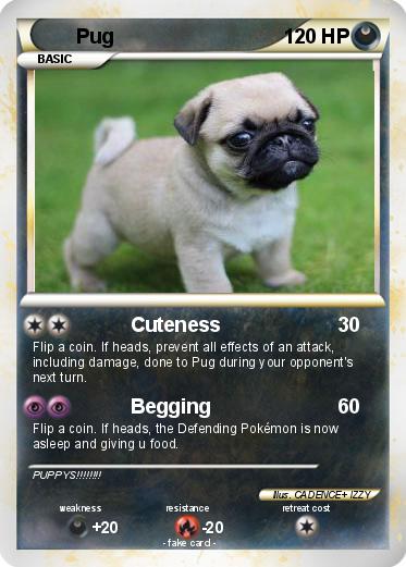 Pokemon Pug