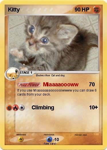 Pokemon Kitty