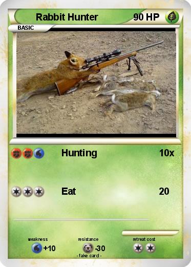 Pokemon Rabbit Hunter