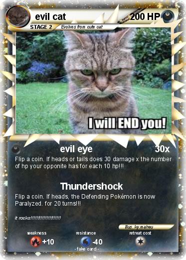 Pokemon evil cat