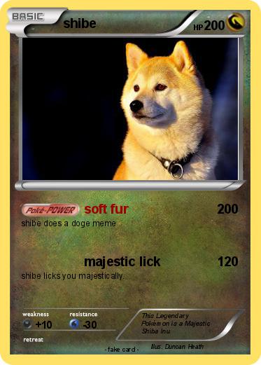 Pokemon shibe