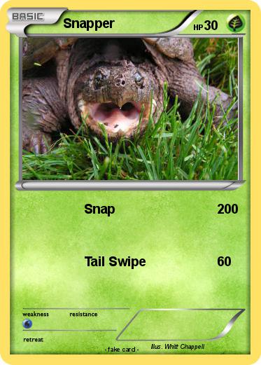 Pokemon Snapper