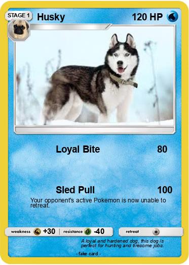 Pokemon Husky
