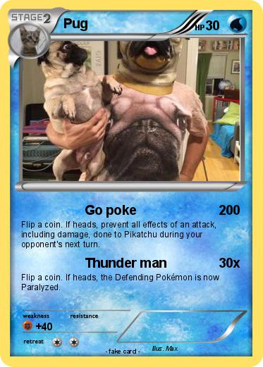 Pokemon Pug