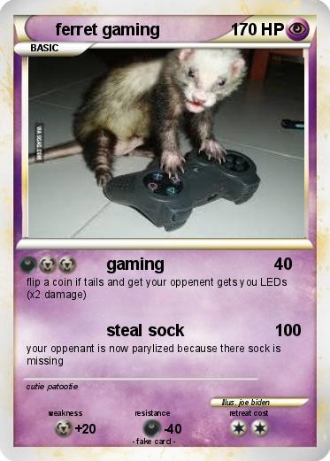 Pokemon ferret gaming