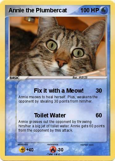 Pokemon Annie the Plumbercat