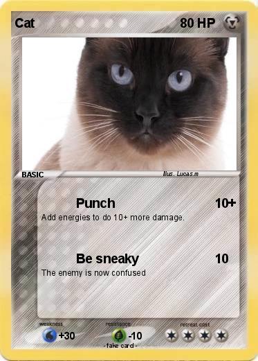 Pokemon Cat