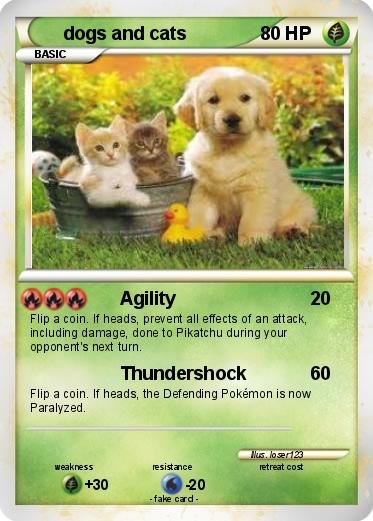 Pokemon dogs and cats