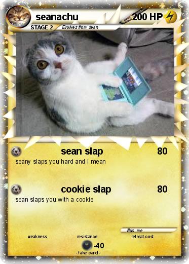 Pokemon seanachu