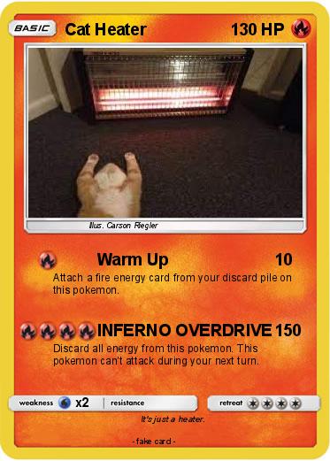Pokemon Cat Heater