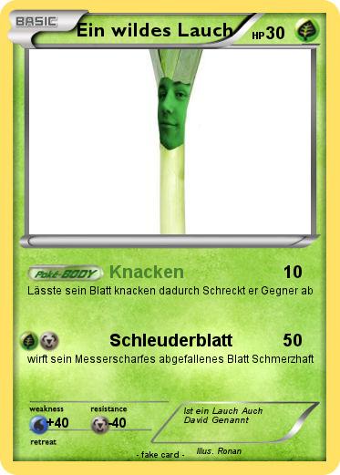 Pokemon Ein wildes Lauch