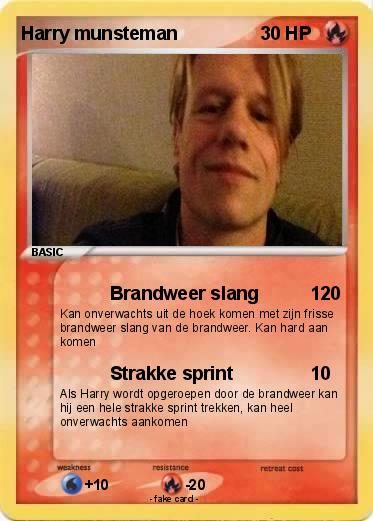 Pokemon Harry munsteman