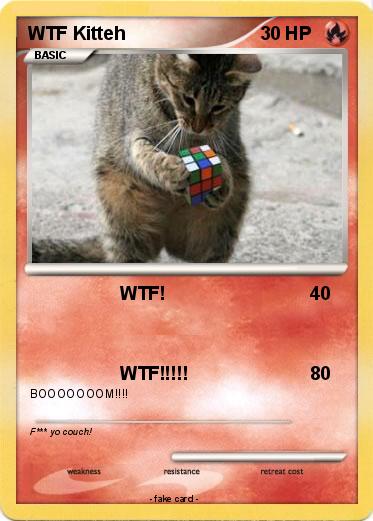 Pokemon WTF Kitteh