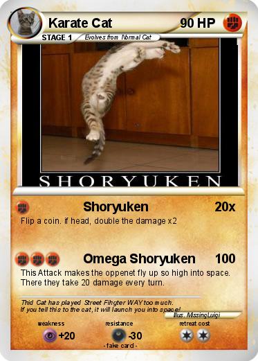 Pokemon Karate Cat