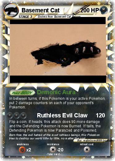 Pokemon Basement Cat