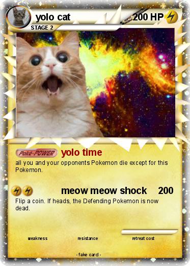 Pokemon yolo cat