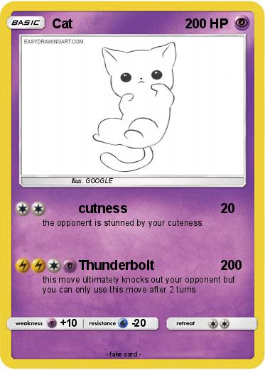 Pokemon Cat