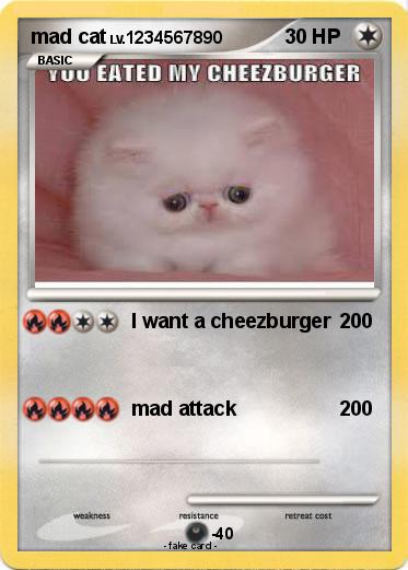 Pokemon mad cat