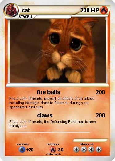 Pokemon cat