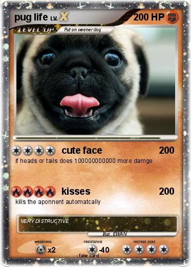 Pokemon pug life