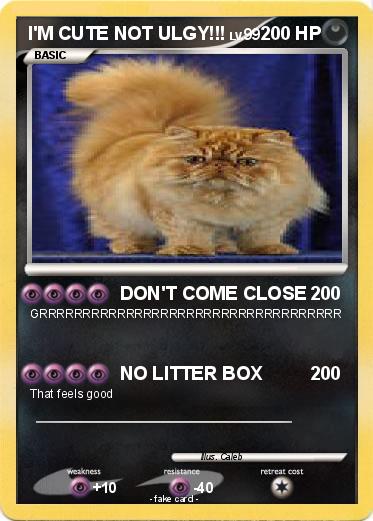 Pokemon I'M CUTE NOT ULGY!!!