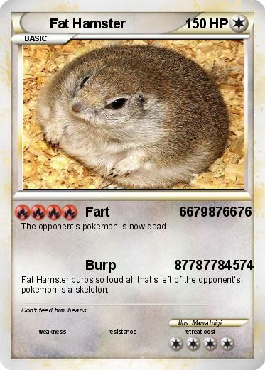 Pokemon Fat Hamster