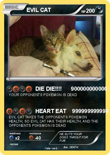 Pokemon EVIL CAT