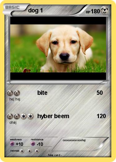 Pokemon dog 1