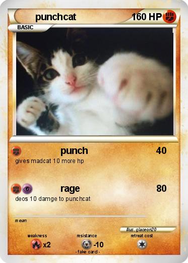 Pokemon punchcat