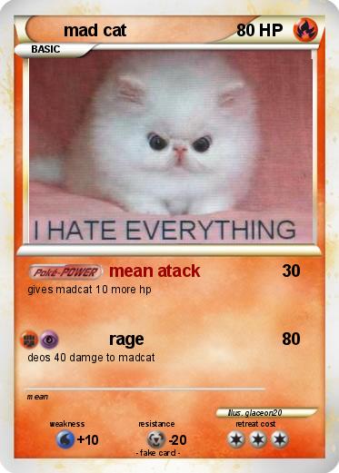 Pokemon mad cat