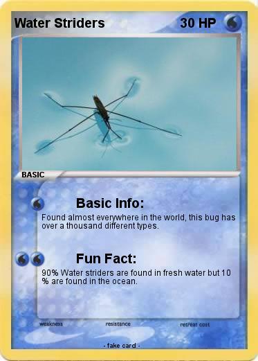 Pokemon Water Striders