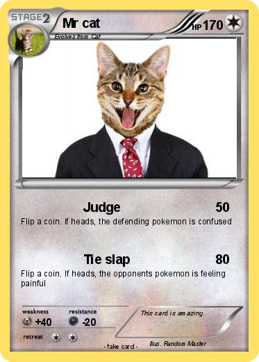 Pokemon Mr cat