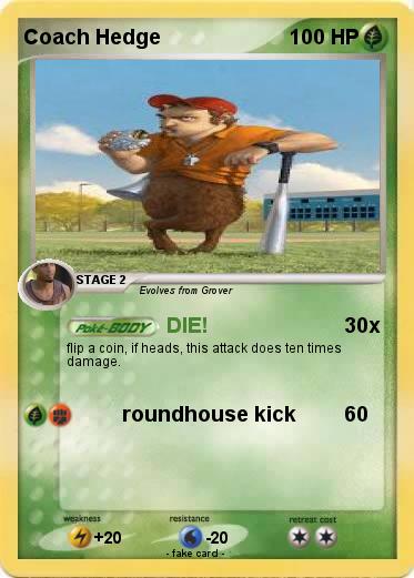 Pokemon Coach Hedge