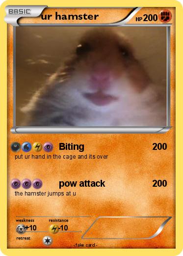 Pokemon ur hamster