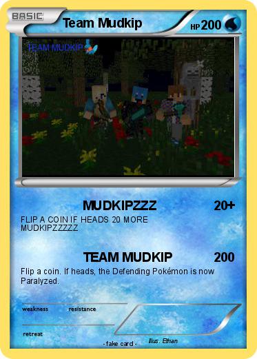 Pokemon Team Mudkip