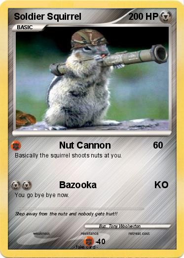 Pokemon Soldier Squirrel