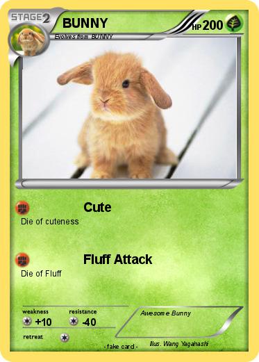 Pokemon BUNNY