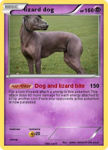 Pokemon lizard dog