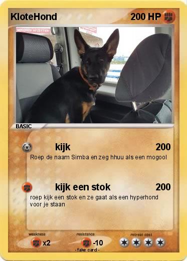 Pokemon KloteHond
