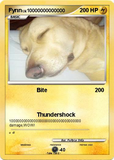 Pokemon Fynn