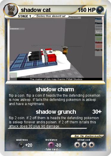 Pokemon shadow cat
