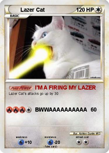 Pokemon Lazer Cat