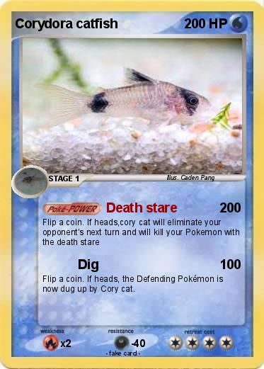 Pokemon Corydora catfish
